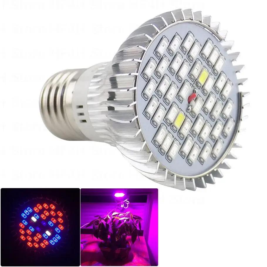 LED UV Ǯ Ʈ LED    , Ĺ ä   Ĺ , ǳ ½  Ʈ B4, 40 LED